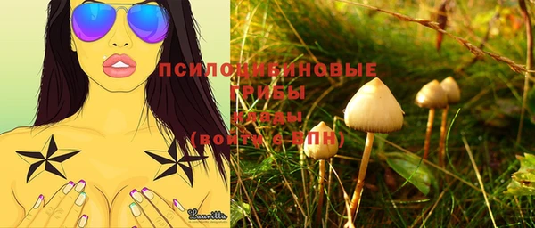 Альфа ПВП Алзамай