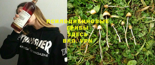 прущие грибы Алексин