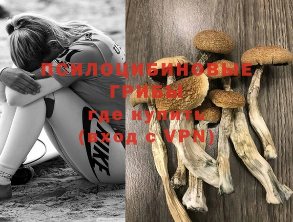прущие грибы Алексин